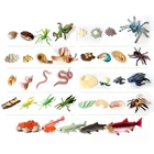 Моделирование насекомых, животных, улитка, цикл роста пчелы, мантиса, лосося, паука, земляного червя, модели жизненного цикла, фигурки, обучающие материалы, игрушки