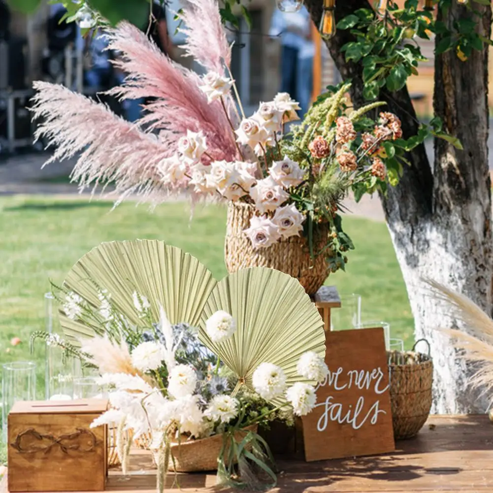 

Dried Palm Leaf Oderless Shop Decorate Bedrooms Bookshelves Window Reception Art Wall-mounted Wedding Wedding Arch Decoration