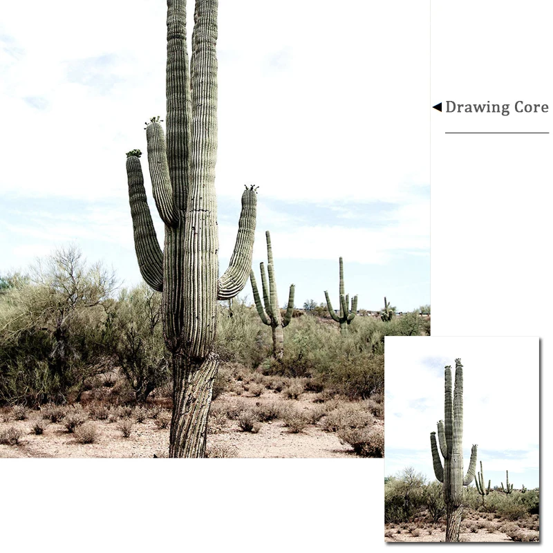 Растительный постер С КАКТУСОМ суккулентный принт пустынный пейзаж настенные