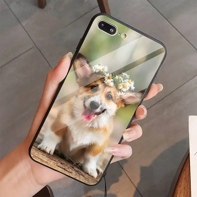 

Koala cute cartoon animal luxury fashion Phone Case shell Tempered glass For iphone 5C 6 6S 7 8 plus X XS XR 11 PRO MAX