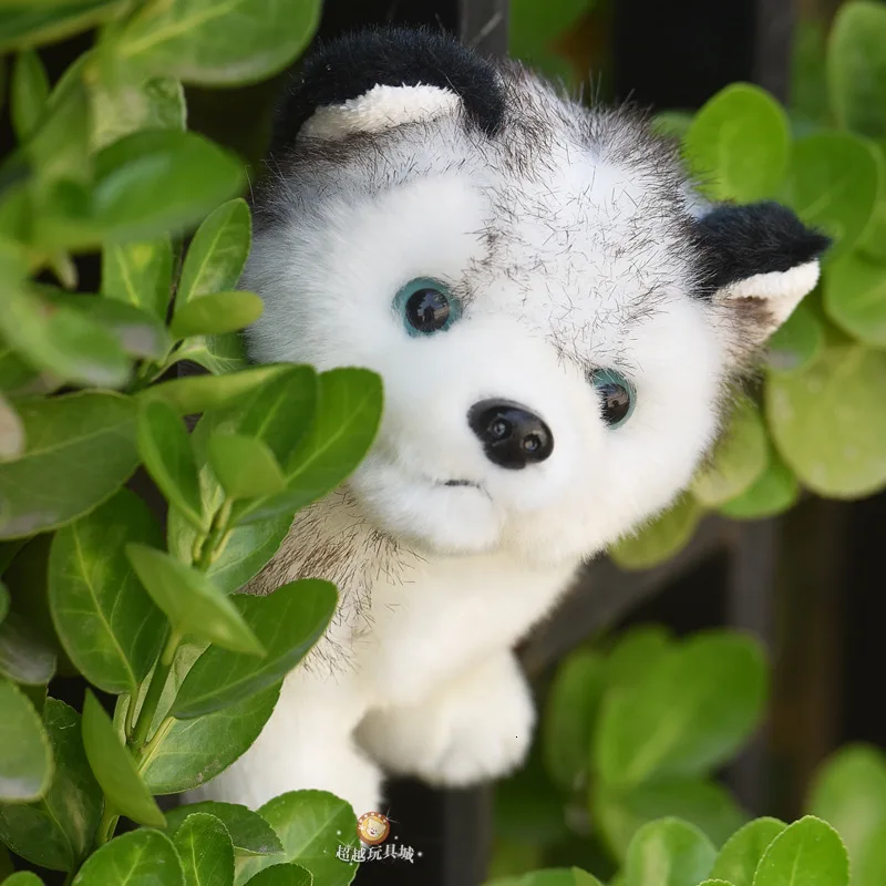 1 шт., симуляция хаски, милая собака, кукла, мягкие плюшевые животные, Kawaii, щенок, детские игрушки для детей, подарок на Рождество, день рождения