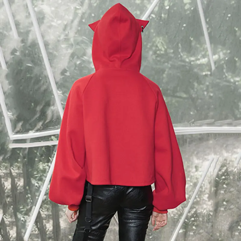 XITAO оболочка Drawstring толстовки женские модные новые осенний пуловер с рукавами-фонариками маленькие свежие повседневные стильные толстовки xj70