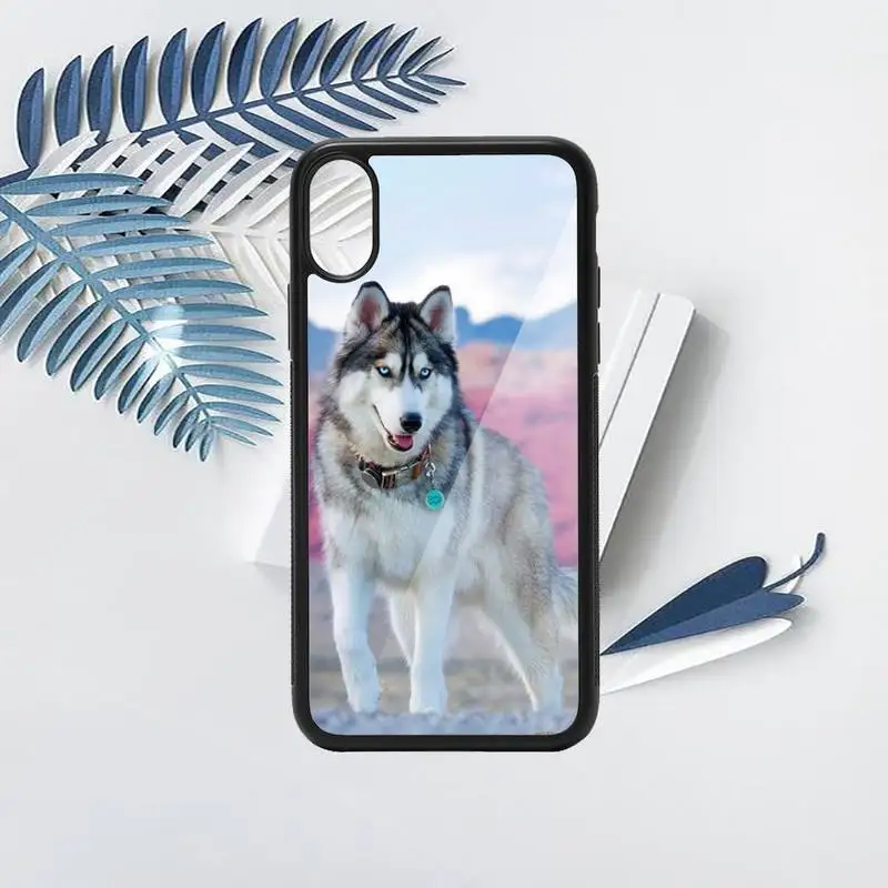 

Husky Dog Phone Case TPU For iPhone X XR XS 11 12 mini Pro MAX 6 6S 7 8 Plus SE 2020