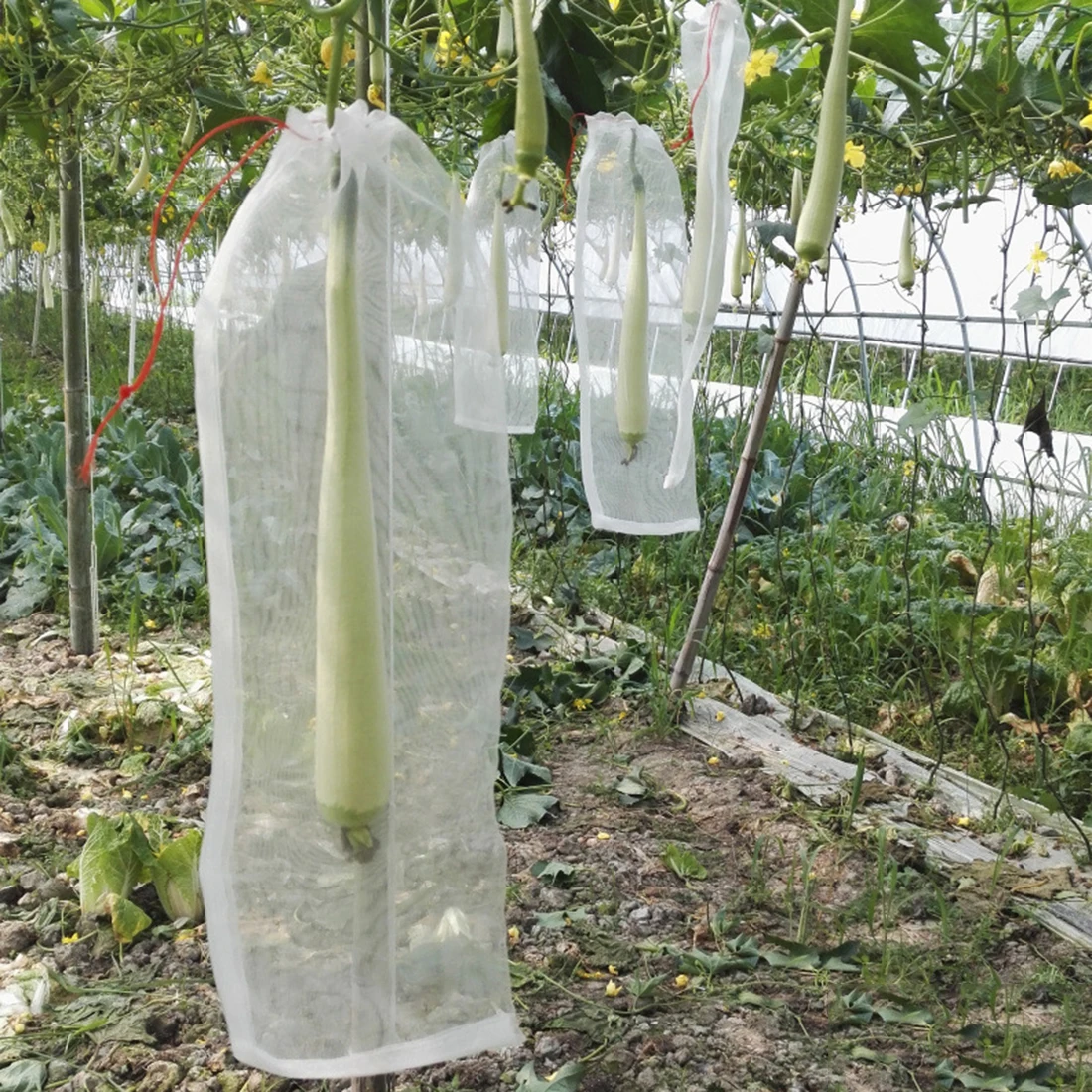 

100 Pcs Fruit Vegetable Protect Net Bag Drawstring Against Insect Pest Bird For Garden Tools Yard Farm Supplies Accessories