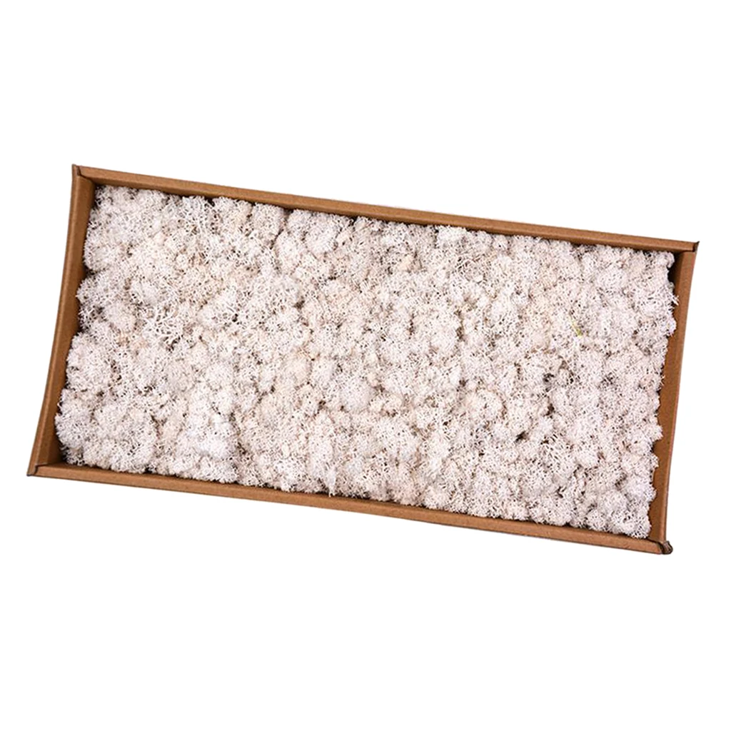 White 38x19x10cm I Натуральный норвежский олень мох консервированный сушеные ремесла цветок для цветов Трава растения для дома и сада Гирлянда Свадебная вечеринка - Цвет: White 38x19x10cm I