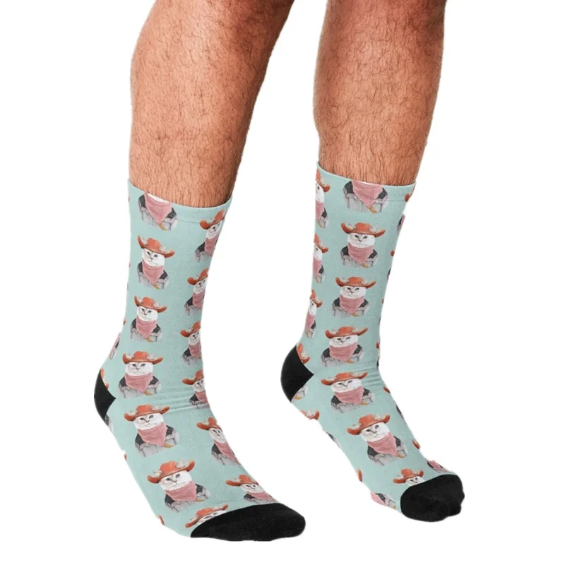 Забавные мужские носки 2021 счастливые в стиле хип хоп с рисунком кошки Родео шляпе