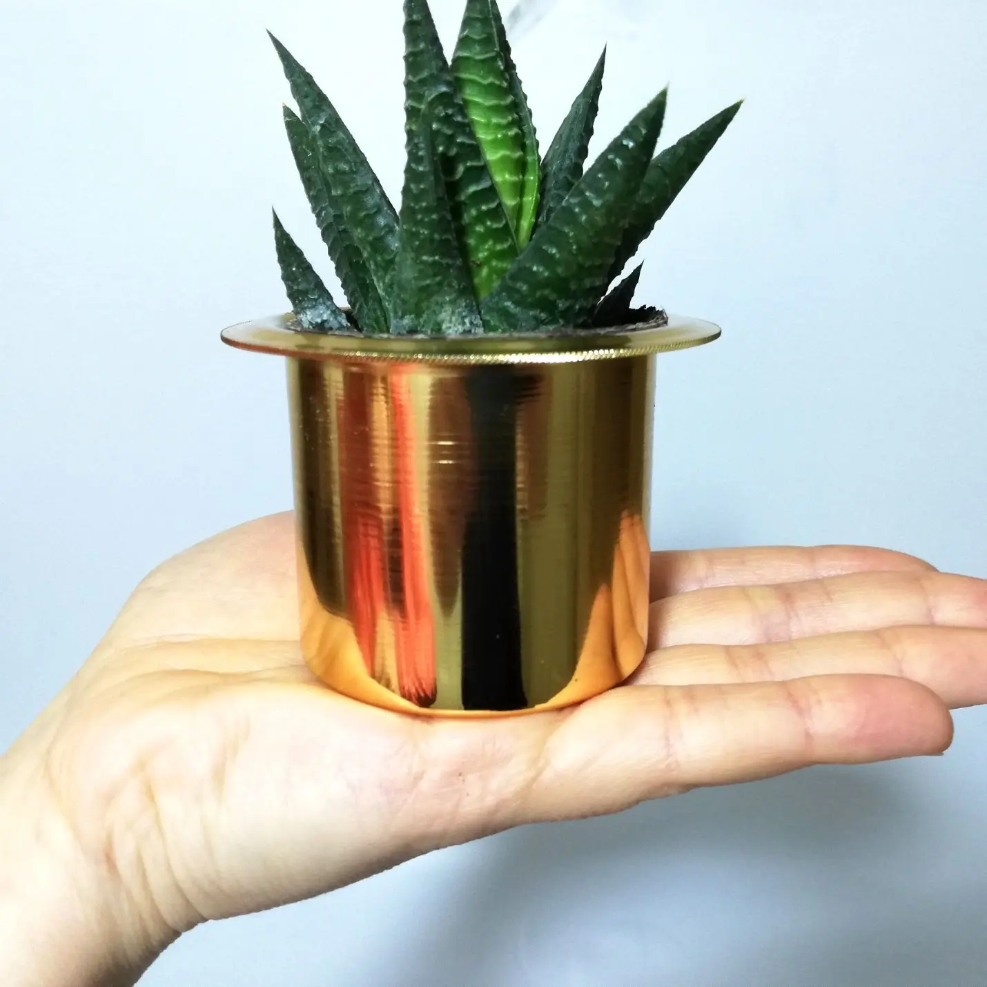 

Personalized Triple Copper Sukulent - Barbados In Pots