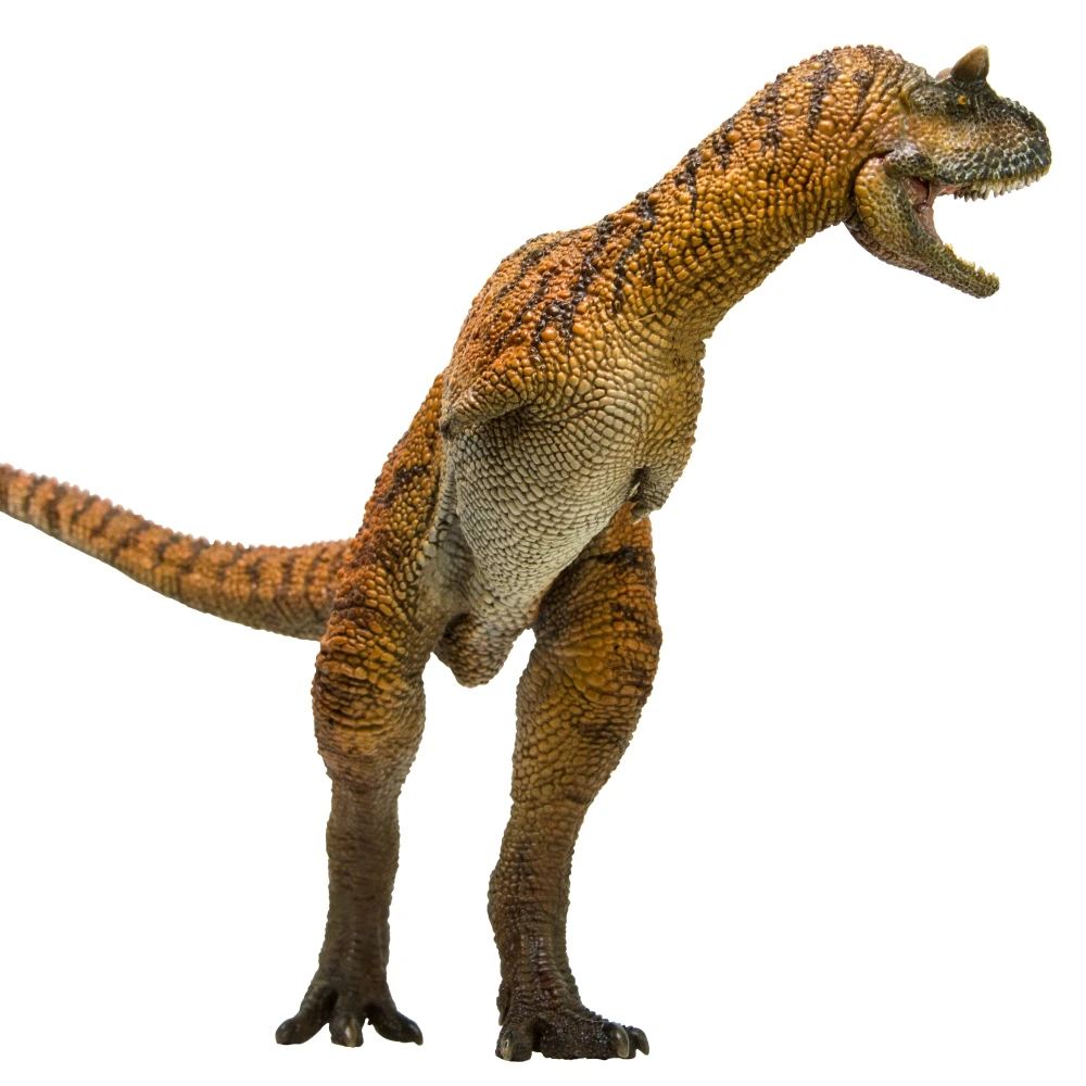PNSO-dinosaurio preantiguo, modelos: 36, el Carnotaurus-4