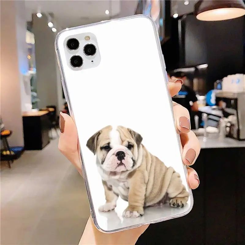 

Bulldog French Dog Phone Case for iphone 11 12 Pro Max Clear Cover Xs X XR 7 8 6 6S Plus 5 5S SE 2020 Fundas Coque Etui