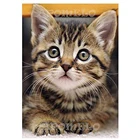 Набор для вышивки крестиком 11CT с изображением животных и котов