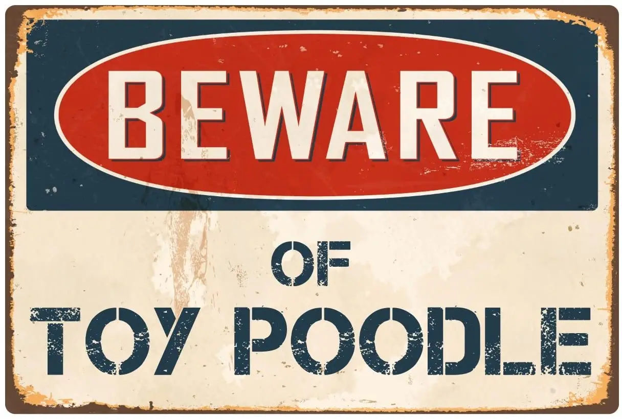 StickerPirate Beware of Toy Poodle 8 x 12 Vintage Aluminum Retro Metal Sign VS420