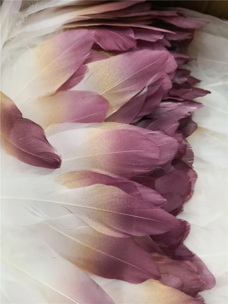 

10pcs Gradient Color Goose feather 15-20cm/6-8inches DIY crafts Handwork Home juju Hat Decoration Earrings Jewelry Clothing