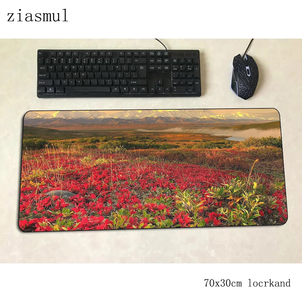 

Computer Peripherals