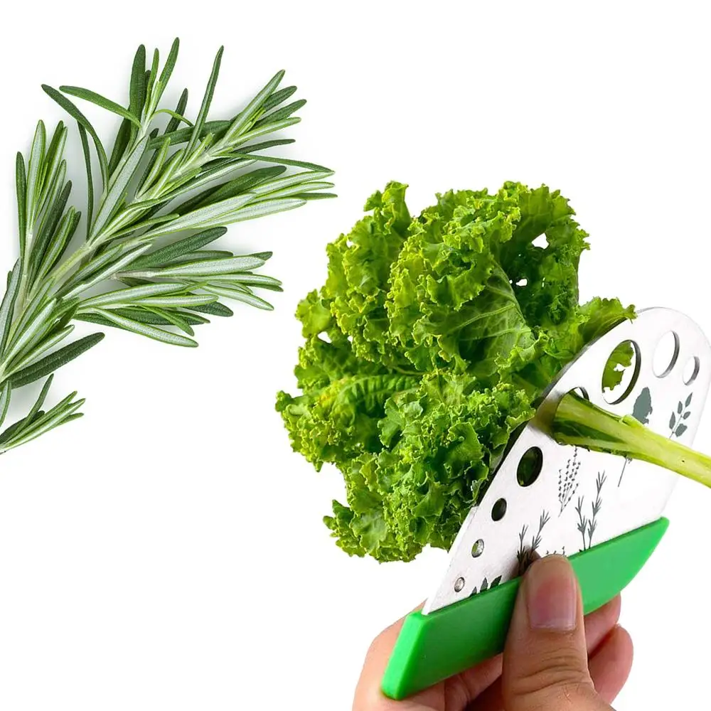 

Easy To Use 9 Holes Widely Application Kitchen Herb Leaf Stripping Tool Durable 2 in 1 Anti-Corrosion Stainless Steel