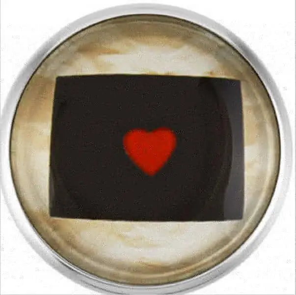 

20Pcs/lot Wyoming State Snap Buttons Glass Buttons Snap Charms Fit 18mm Snap DIY Bracelets&bangles Necklace Jewelry