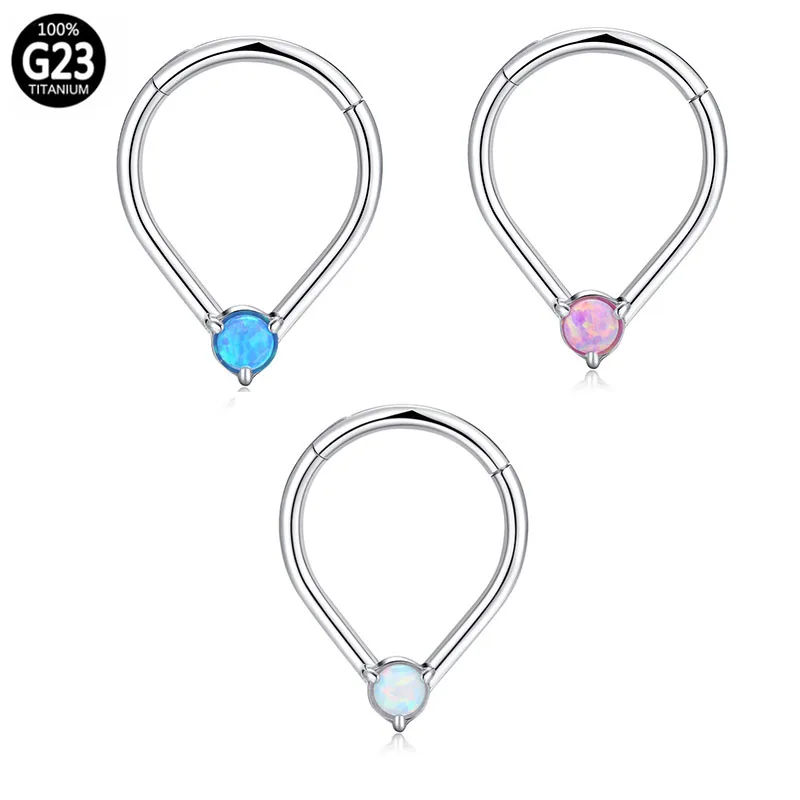 

G23 Titanium Hoop Nose Ring Daith Earrings Outside Ball Hinged Segment Clicker Helix Ear Cartilage Tragus Lip Piercing Jewelry