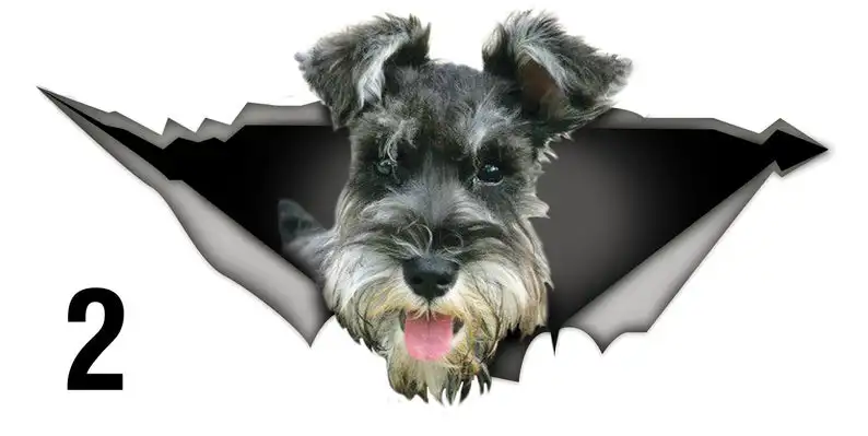 

2021 Schnauzer car sticker , dog car decal, Schnauzer decal, car decoration, pet decal