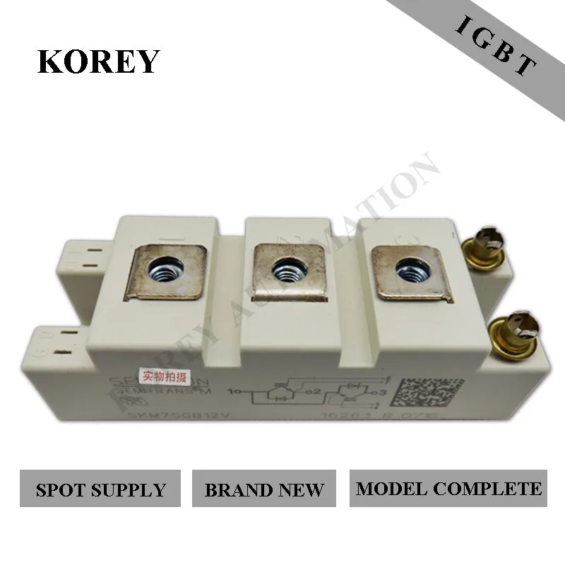 

Semikron IGBT Module SKM75GB12V SKM100GB12V SKM150GB12V SKM200GB12V