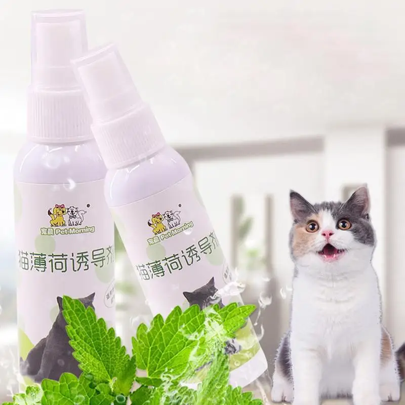 

50ml Catnip Spray Cat Good Cat Excitement Cat Toy Cat Catnip Natural Inducer Organic Scratch Healthy Plate Z2C9