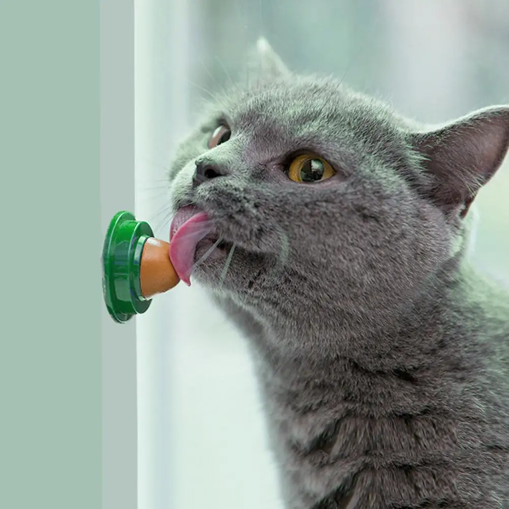 

1PC Healthy Cat Catnip Snacks Catnip Sugar Candy Licking Nutrition Gel Energy Ball Toy Increase Pet Supplies Toy Candy Fixed Kit