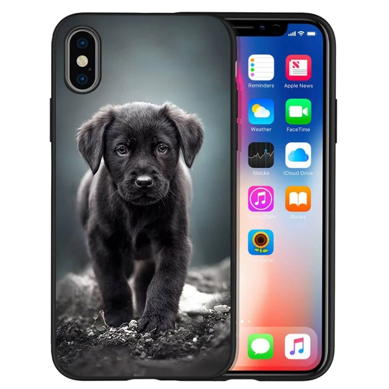 Черный милый силиконовый чехол для iPhone 12 XR XS Max 5 5S SE 2020 6 6S PLUS 7 8 X 11Pro 11 | Мобильные