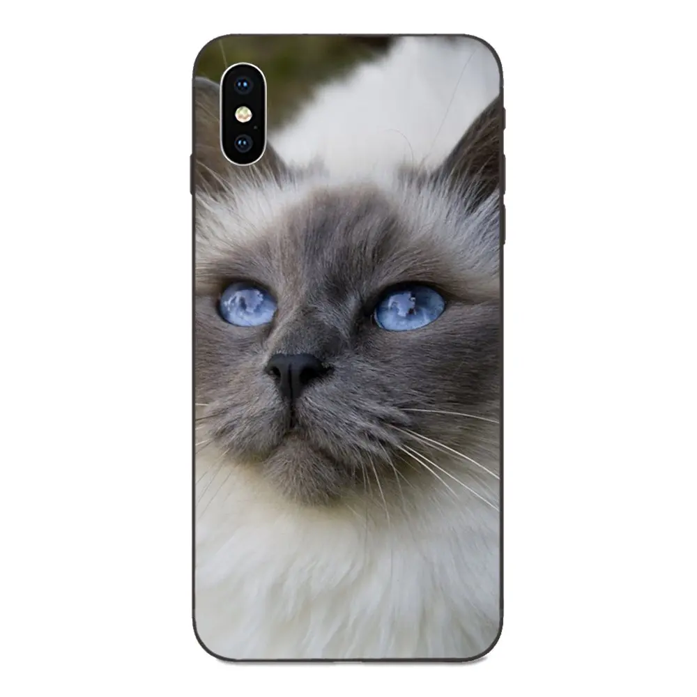 ТПУ Модный чехол для Apple iPhone 4 4S 5 5S SE 6 6S 7 8 Plus X XS Max XR Pet Ragdoll Cat Blue Eyes | Мобильные