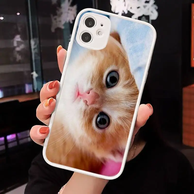

Lovely animal cat kitten CUTE Phone Case Matte Transparent for iPhone 7 8 11 12 s mini pro X XS XR MAX Plus cover funda