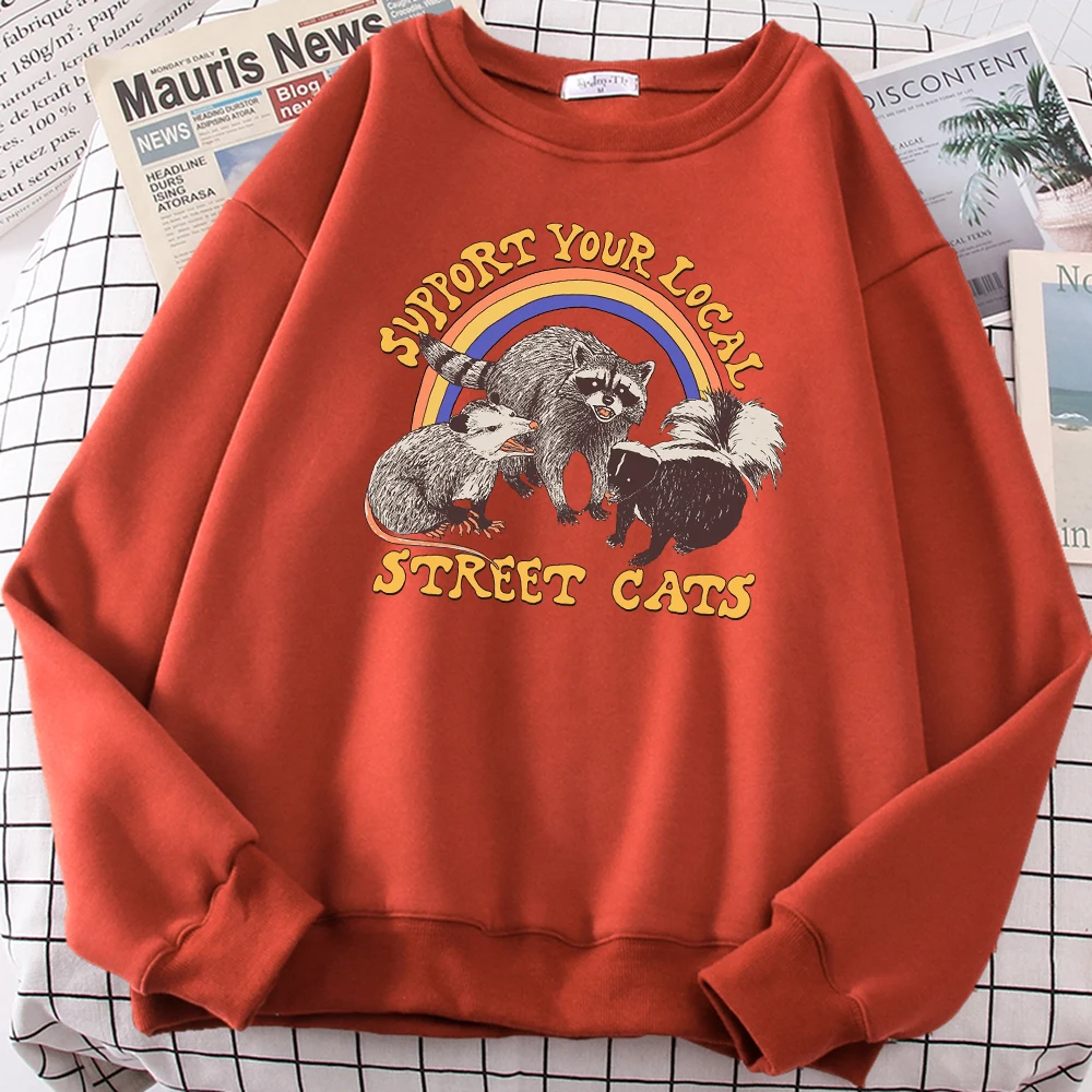 

Женская флисовая толстовка с принтом, свободная толстовка с круглым вырезом