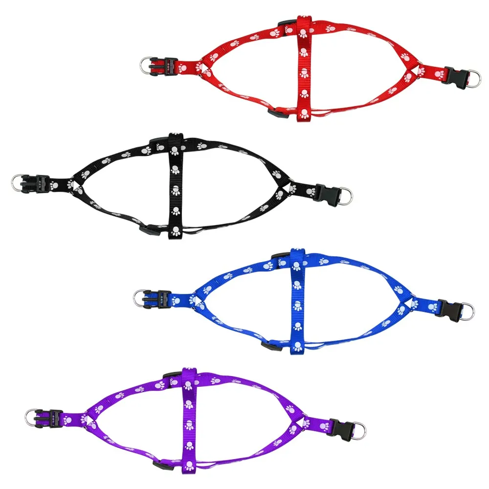 Милые носки с принтом медвежьей лапы шаг в поводок для питомца собаки того чтобы