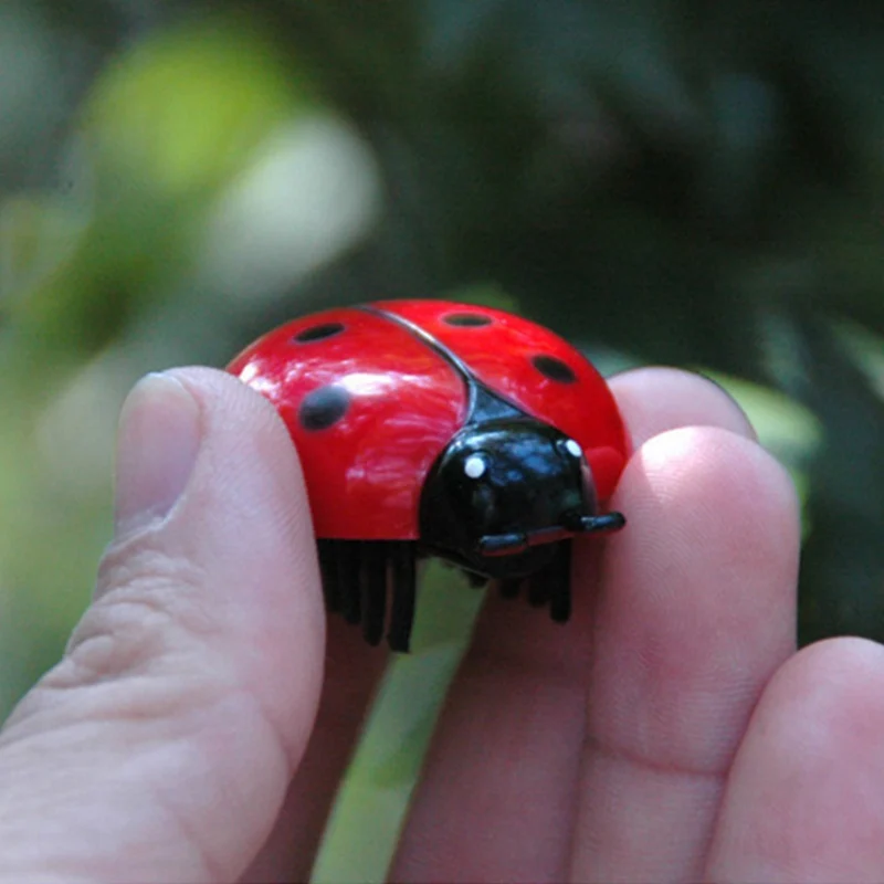 Новые игрушки для кошек новые экзотические электрические жуки божья коровка