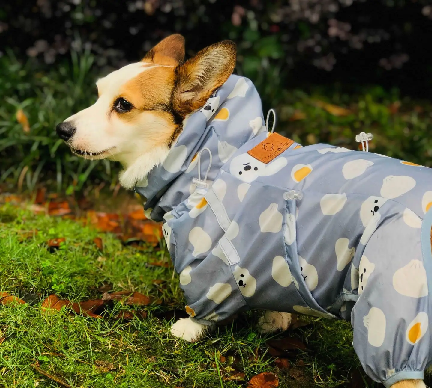 Водонепроницаемый дождевик корги, комбинезон для собак, одежда для собак,  дождевик золотистого ретривера, костюм, наряд для домашних животных |  AliExpress