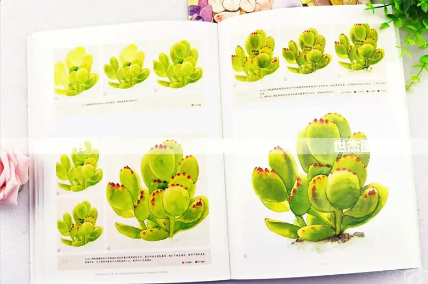 Novice Watercolor technique book :drawing succulent plants Notes of Cute Succulents in | Канцтовары для офиса и дома