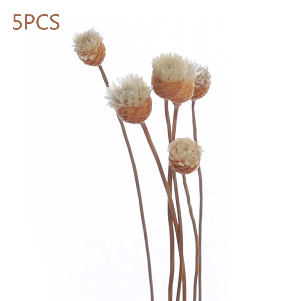 A7 5pcs Daisy Flower Rattan Reeds Fragrance Diffuser Non-fire Replacement Refill Sticks Home Living Room Aromatic Incense - Цвет: A7