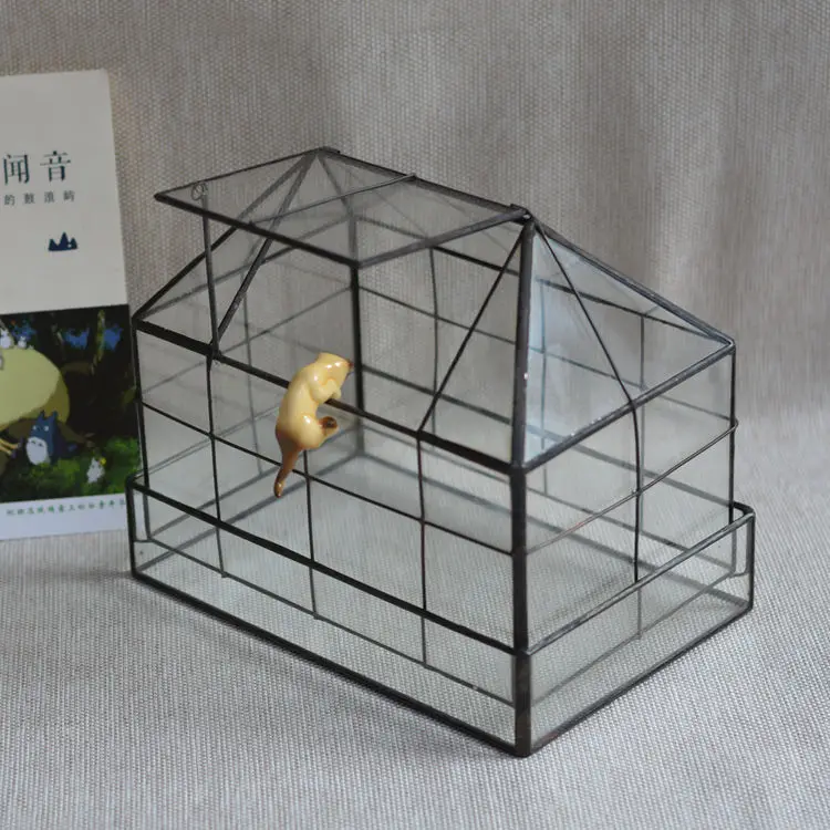 

Creative Combination Micro Landscape Fleshy Glass Flower Room Glass Box Art Bonsai Glass Vase Flower Pot