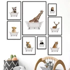 Животные для ванной, енот, лиса, собака, Лев, Зебра, скандинавские плакаты и принты, настенная живопись на холсте, настенные картины, детская комната, туалет, Декор