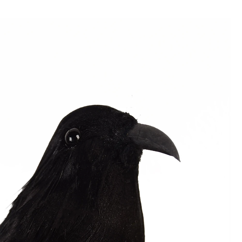 Пернатый черный Хэллоуин птица лужайка ворона реквизит яркое дерево сад | Дом и