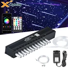 Метеоритный светильник 3 Вт, 12 светодиодов, комплект двигателя с управлением через приложениеRF + кабель дневного света 1,0 мм * 5 шт. * 3-5 м опционально