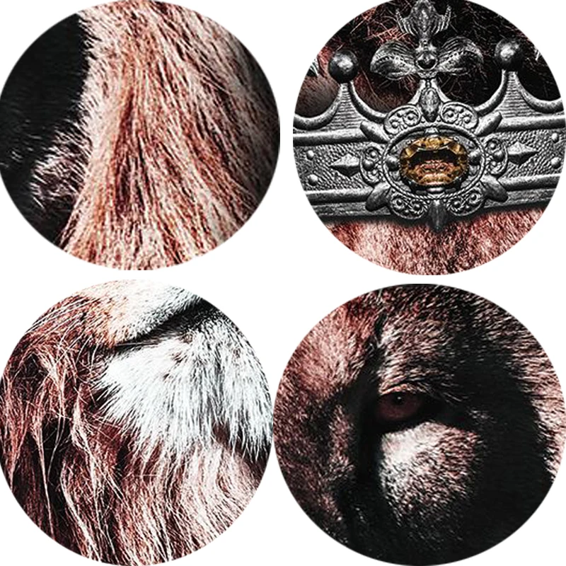 Картина на холсте для гостиной HD Тигр Зебра Леопард плакат со львом современный