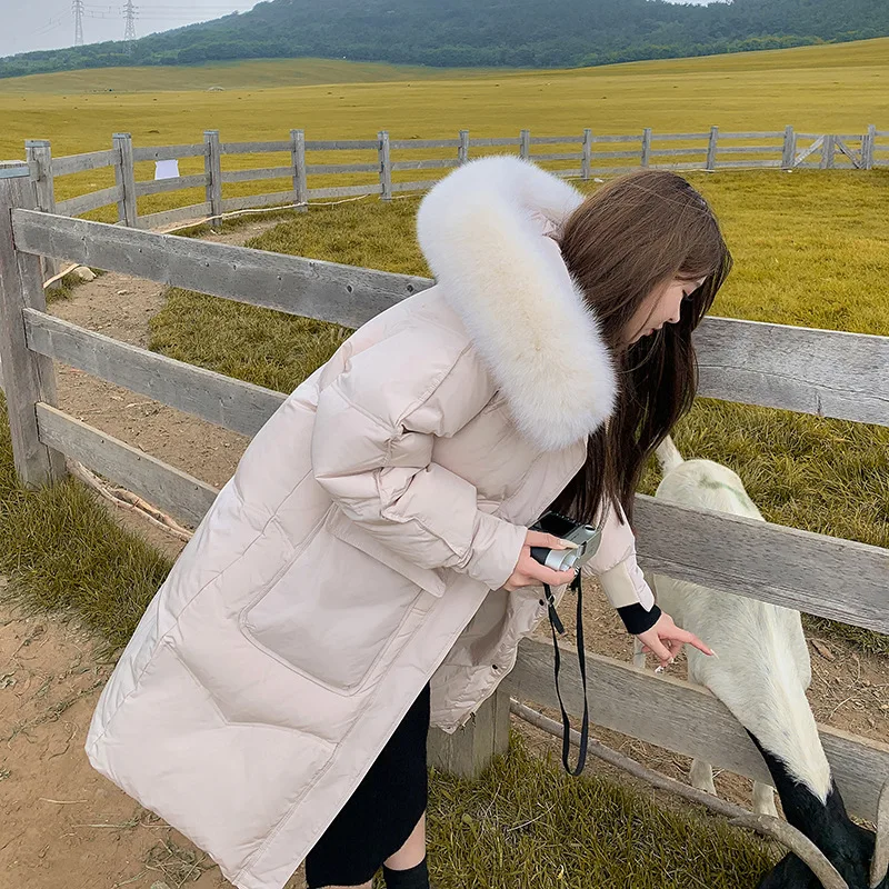 

2021New down cotton jacket women's clothing big fur collar Korean style thick mid-length over the knee winter slimming popular c