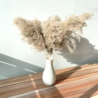 19 22%e2%80%98%e2%80%99 pampas grass decor dried flowers bunny tail grass flowers wedding flowers for home party decoration plastic vase