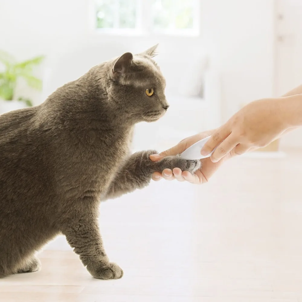 Xiaomi Pawbby Pet бритва предохранительный резак головка Низкая вибрация низкий уровень шума не застревает волосы часть бритвы для домашних животных ноги уха