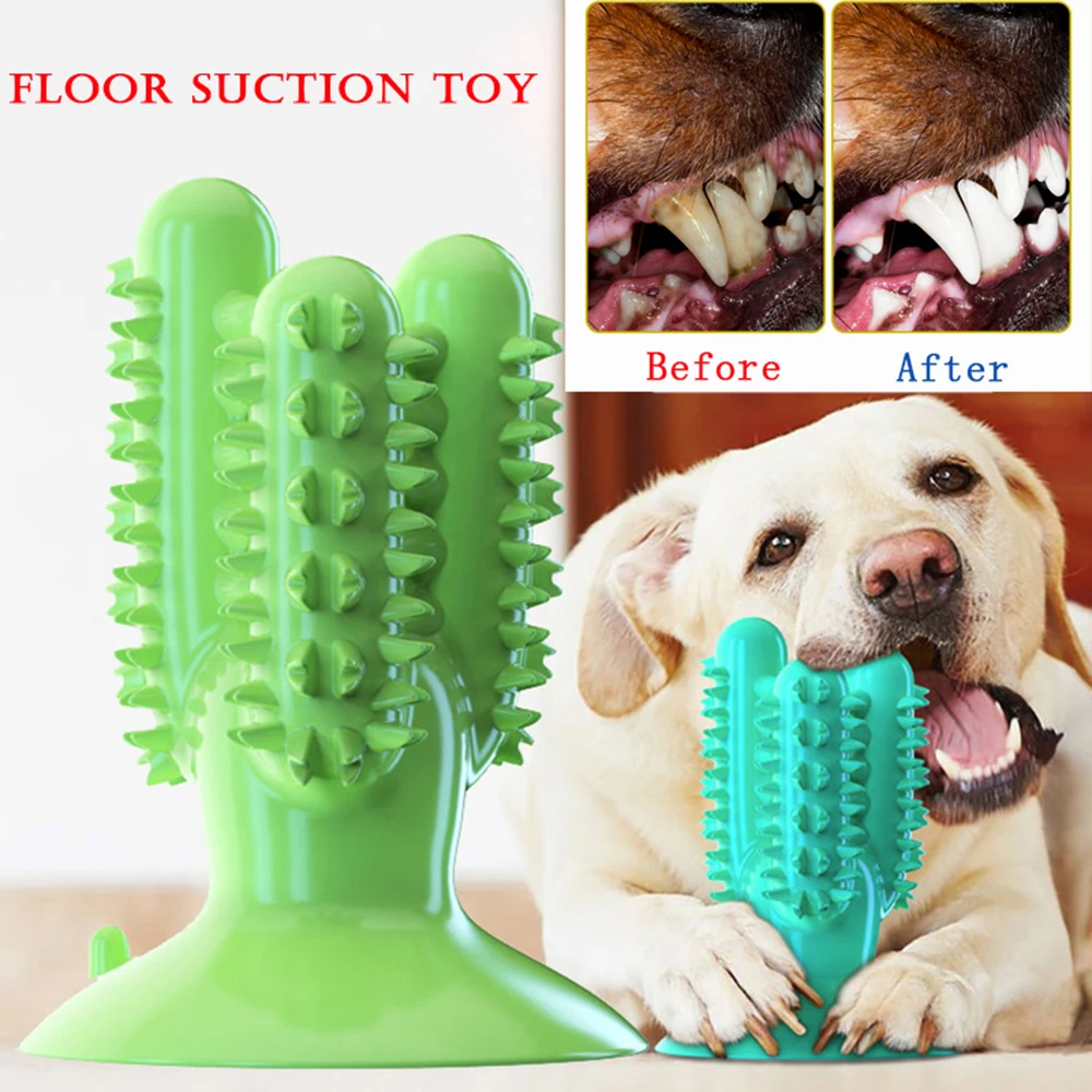 

NEW Dog Rubber Toothbrush Toys for Dogs Interactive Toy Training IQ Teeth Cleaning Durable Small Medium Large Dog Puppy Chewing