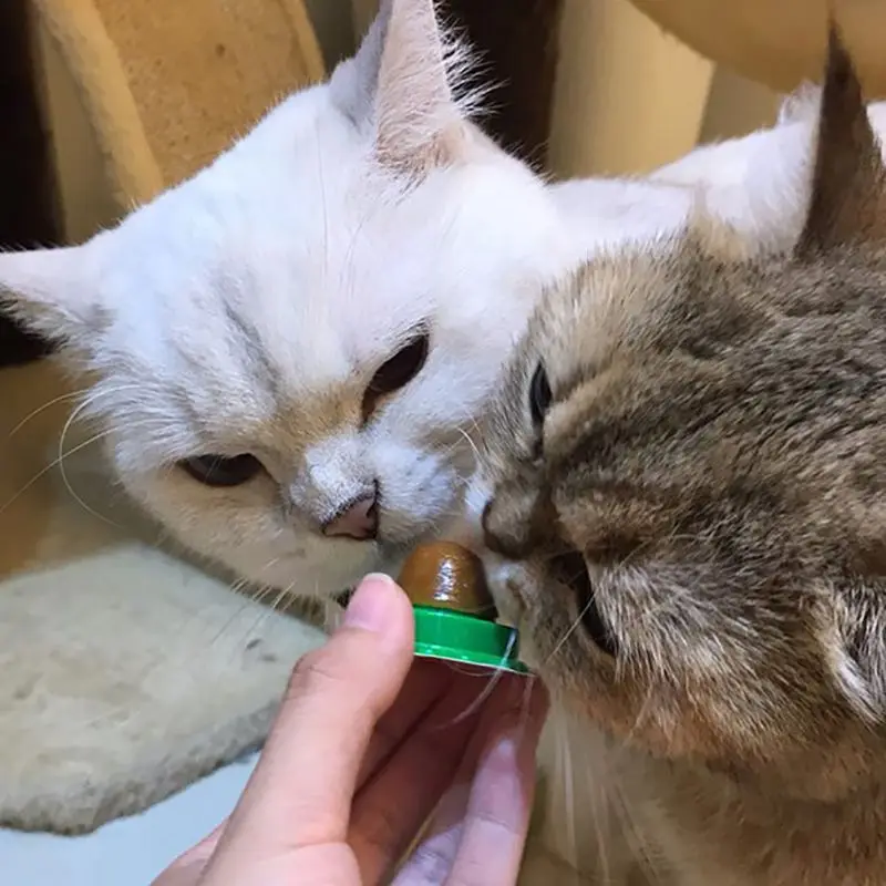 Кошачьи лакомства энергетический шар Экологичные безопасные снэки для кошек
