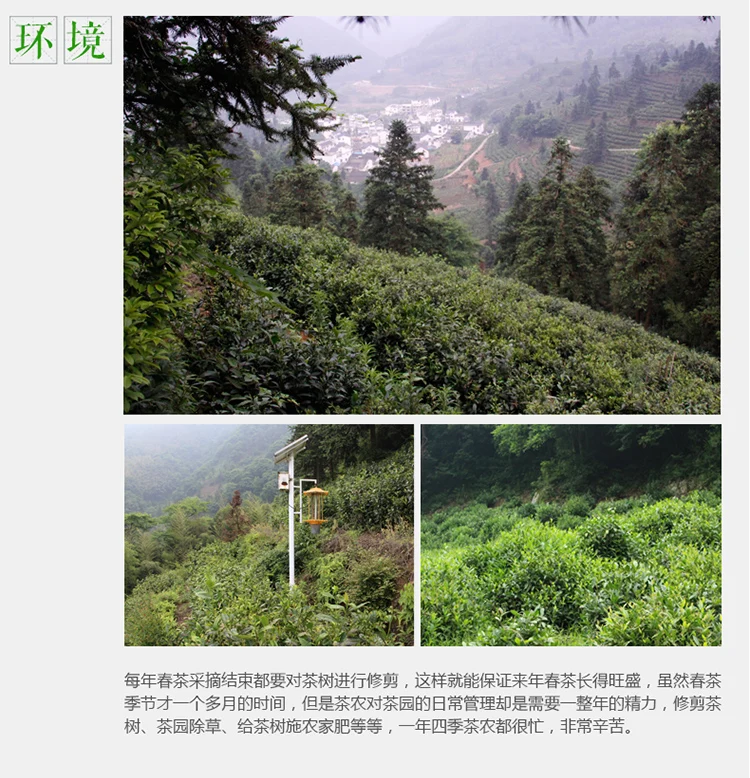 250g 500g Green Tea New Tea Spring Tea Alpine Tea Taiping Monkey Kui Tea, a specialty of Huangshan, Anhui Province