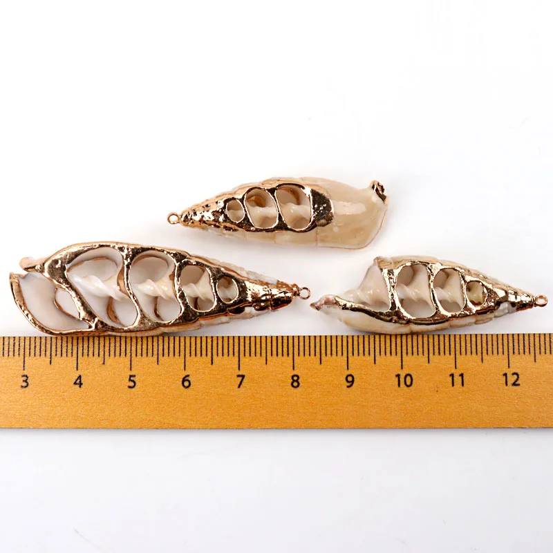 5 шт. спиральные ракушки для украшения дома|Ракушки и морские звезды| |