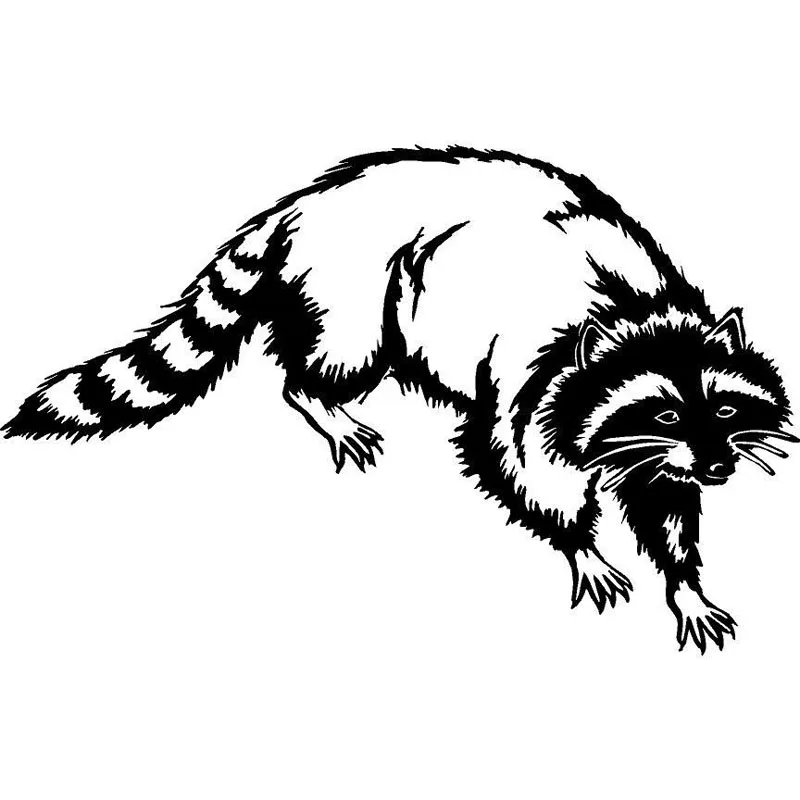 

Waterproof Sunscreen OFK Raccoon Tree Animal Tail Hat Coon Dog Hunting Vinyl Decal Car Sticker Accessories 15*9CM