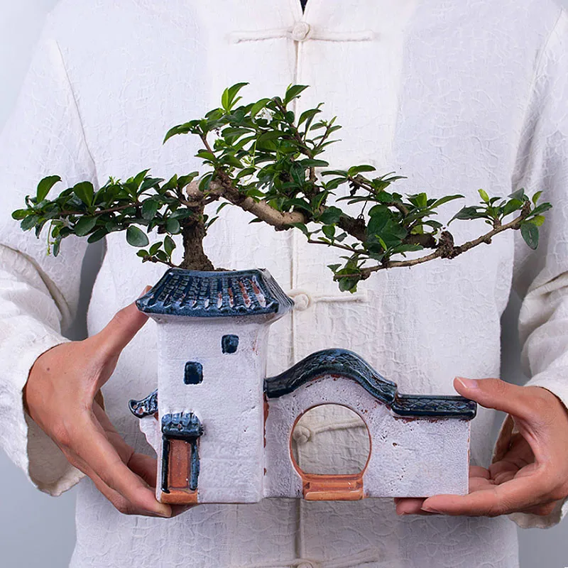 Садовые украшения суккуленты керамические горшечные Садоводство гостиная дом