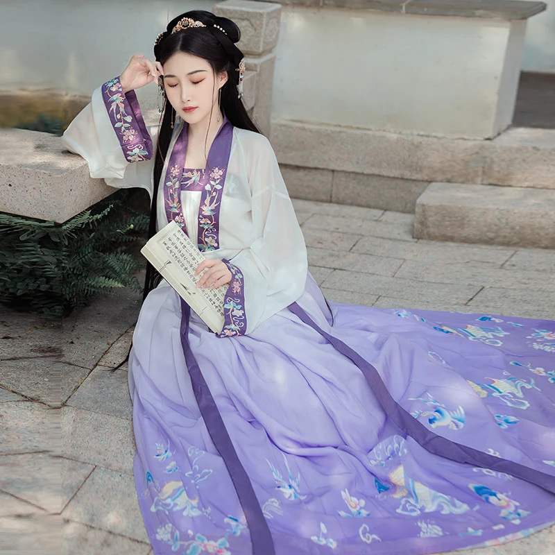 

New Chinese Traditional Clothes For Women Adult Han Tang Song Dynasty Ancient Costumes Female Purple/Green Hanfu Dress