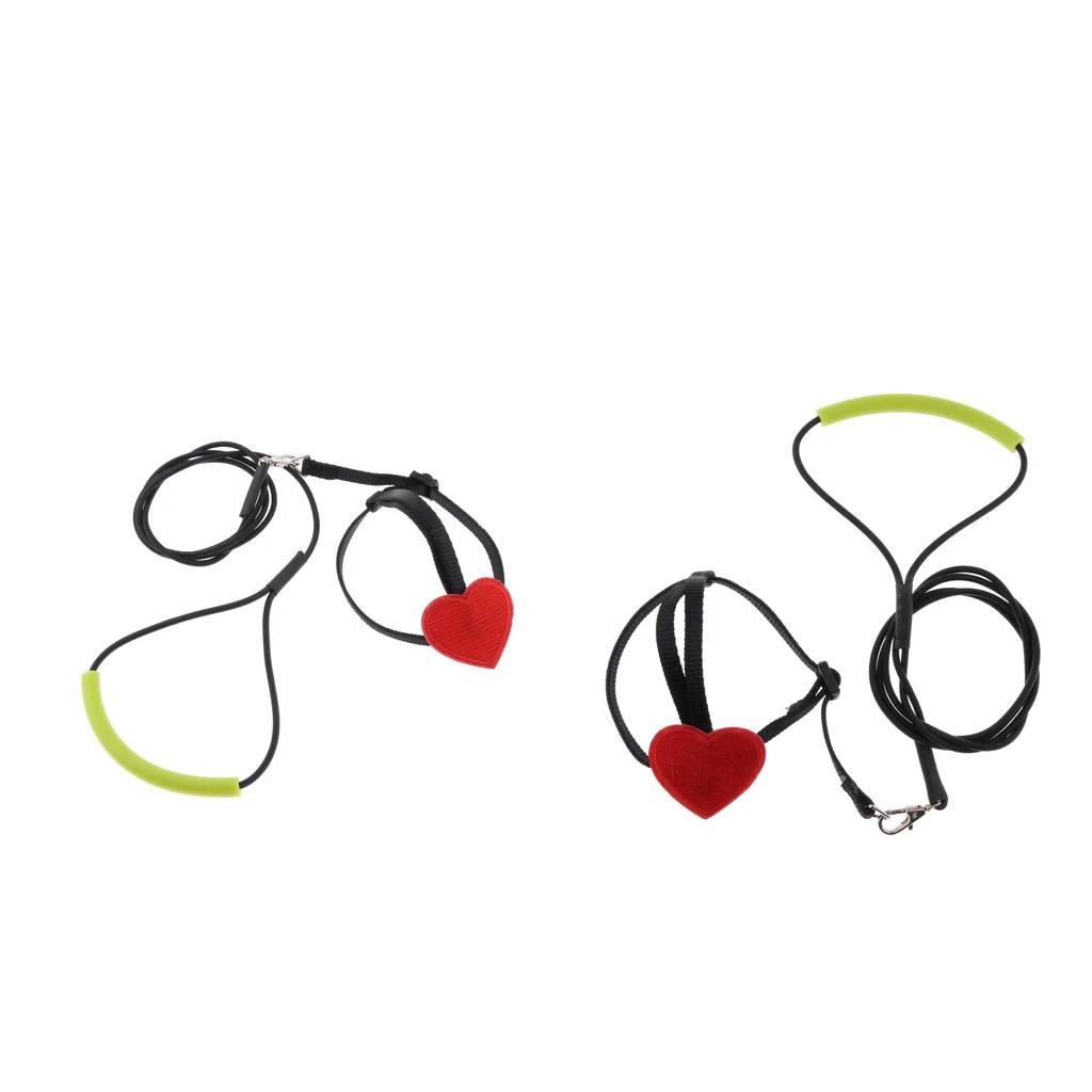 

2PCS Parrot Anti-flying Harness Leash Pet Rope For Birds Outdoor Training Leash