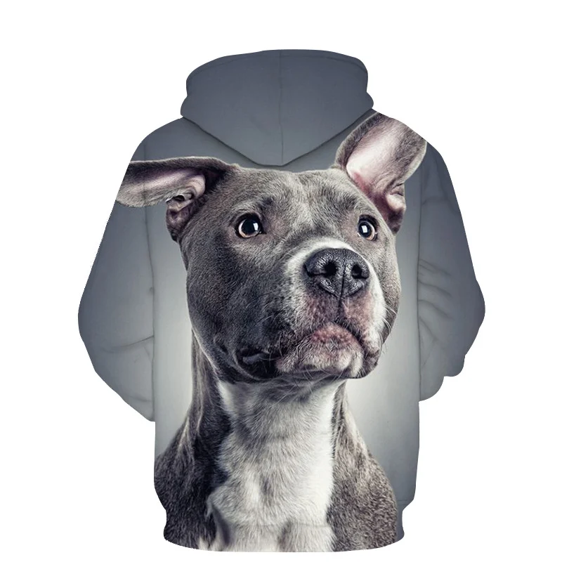 

Bern Mountain Dog 3D Printing Casual Cute Pullover Animal Sports Shirt Men's and Women's Casual Hoodies Dog Harajuku Tops